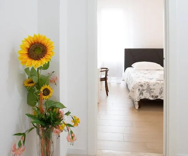 Bb Elite Berchet Padova