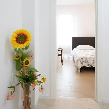 Bb Elite Berchet Padova